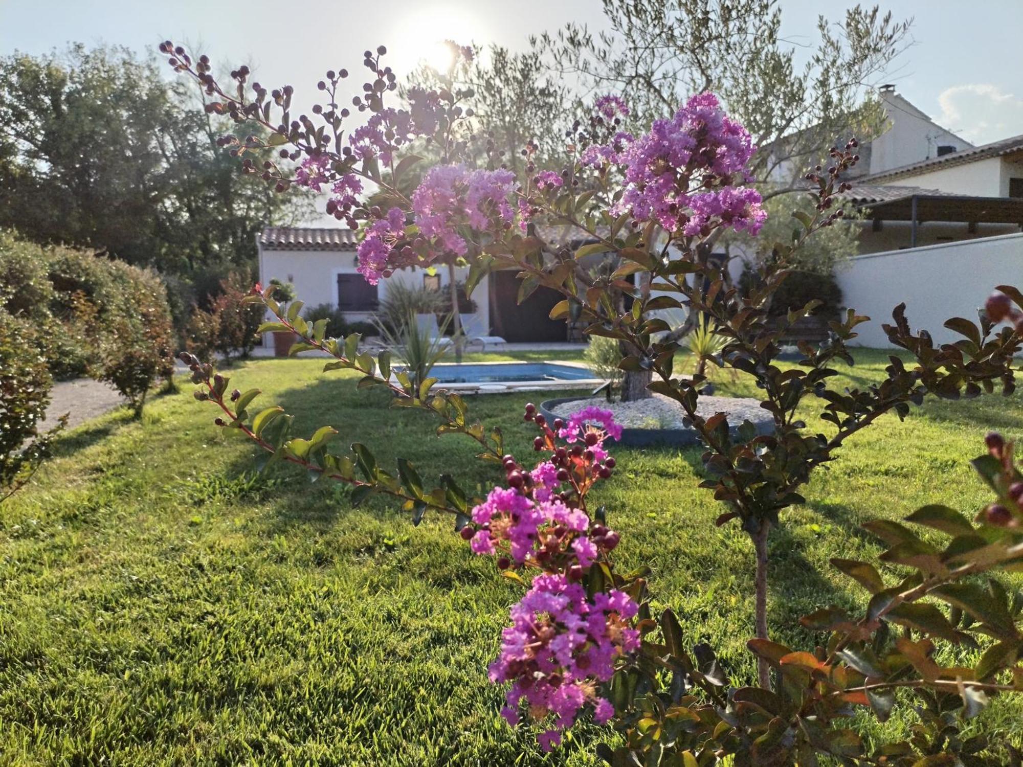 Maison En Campagne Avignon Kültér fotó